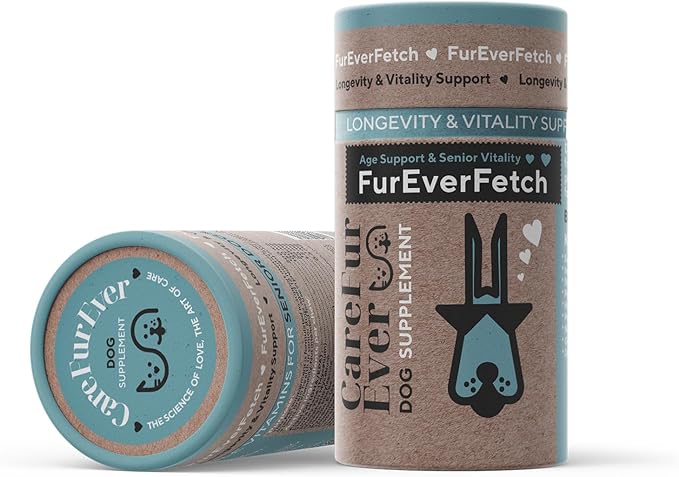 Senior Dogs Cognitive Support | Premium Canine Longevity Stack | Lion's Mane, Turkey Tail & Phosphatidylserine | Biohacking Brain Health Formula | Beef Flavor
