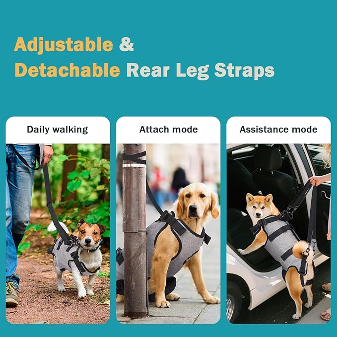 Ownpets Dog Sling Harness, Outdoor Sling Bag for Spine Protection, Whole Body Support, Support Vest to Assist Aged Dogs, Outdoor, L