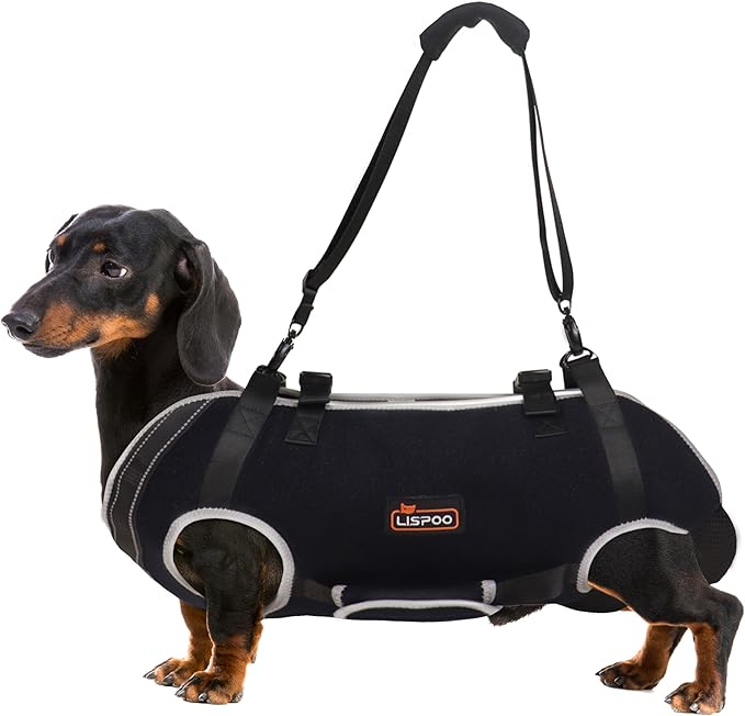 Dog Lift Harness, Full Body Dog Lift Harness, Lift Harness for Senior/Small/Medium Dogs, Disabled, Joint Injuries, Arthritis, Loss of Stability Dogs Walk