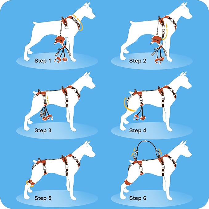 Dog Lift Harness, Dog Lift Sling Carrier with Handle & Shoulder Sling, Support Harness for Rear Back Legs Helps,Disabled,Arthritis,Joint Injuries,Paralysis Up Stairs（Blue,Medium）