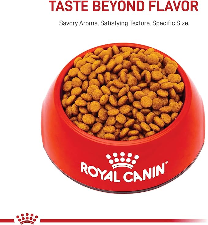 Royal Canin Size Health Nutrition X-Small 8+ Senior Dry Dog Food, 2.5 lb Bag