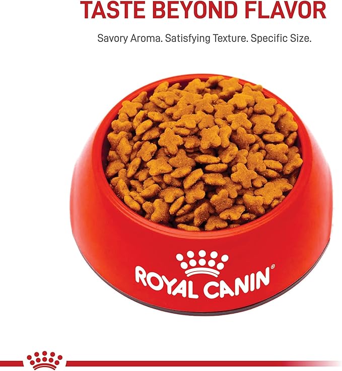 Royal Canin Size Health Nutrition Small Adult Dry Dog Food, 14 lb Bag