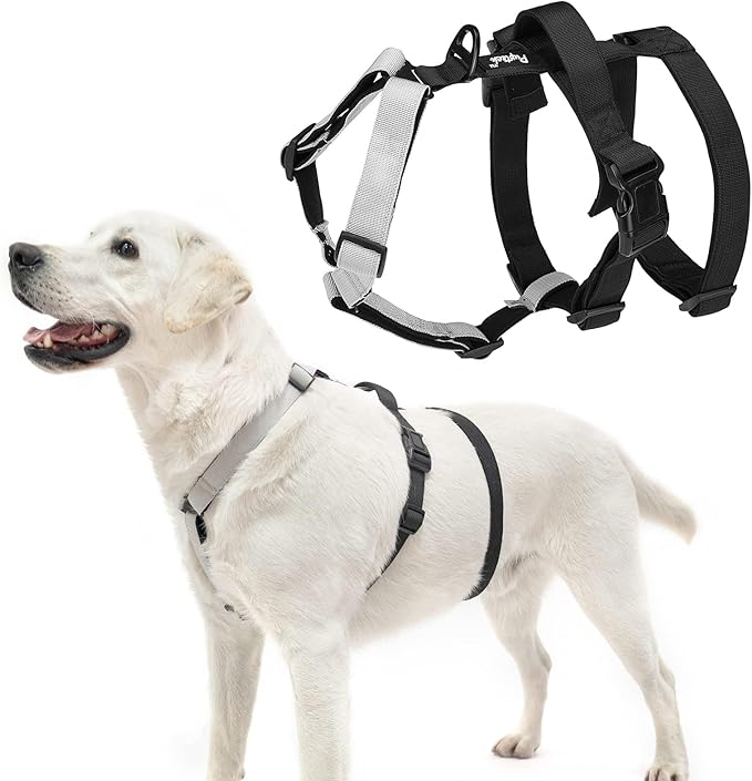 PUPTECK Escape Proof Dog Harness - No Pull Soft Padded Full Body Pet Halter Harness with Lift Handle for Small Medium Large Doggies Walking Hiking Hunting, SnowWhite & Black, XL