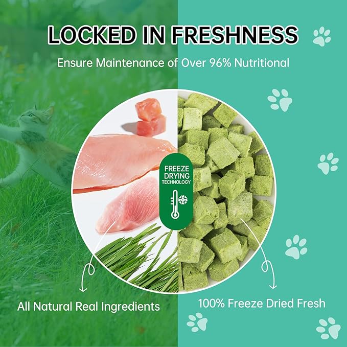 Freeze-Dried Cat Grass Dental Treats - Natural Teeth Cleaning Chews,Hairball Control,Grain-Free Edible Snacks for Indoor Cats & Kittens (80g)