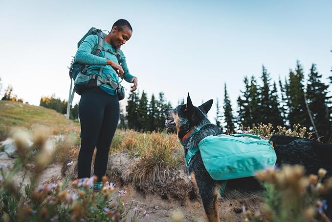 Ruffwear, Front Range Dog Collar, Adjustable Tubelok Webbing, Lightweight, Side Release Buckle, Aluminum V-Ring, Durable for Everyday Use, Red Canyon, 11"-14"