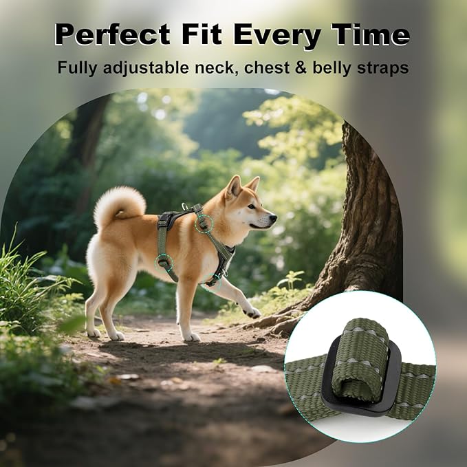 Plutus Pet Adjustable No Pull Dog Harness with Leather Accents, Heavy Duty Reflective Nylon Vest for Training, Hiking, Easy Walk Harness for Small, Medium, Large Dogs (Ranger Green, L)