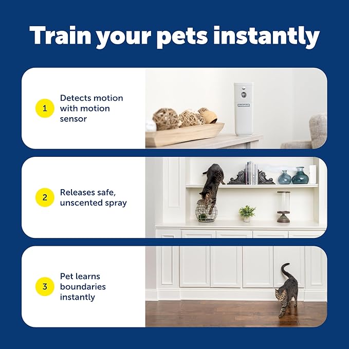 PetSafe SSSCAT Automatic Spray Pet Deterrent - Contactless Behavior Correction - Motion Sensor Air Burst - Odorless - Non-Staining - Versatile Placement Spray - Pack of 3 Refill Cans