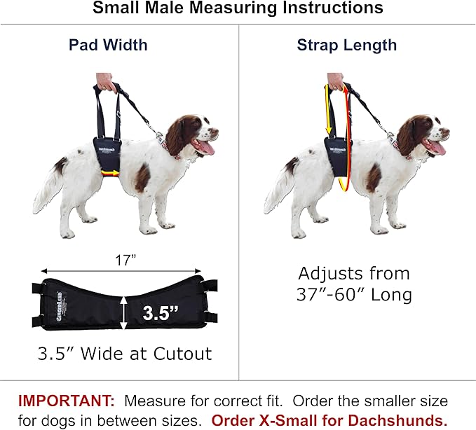 GINGERLEAD Dog Sling Hip Support Harness, SM Male fits Small to Medium Size Pets or Larger Barrel Chested Dogs Like Boxers or Bullies. Male Dachshunds use X-Small Size. Made in U.S.A.