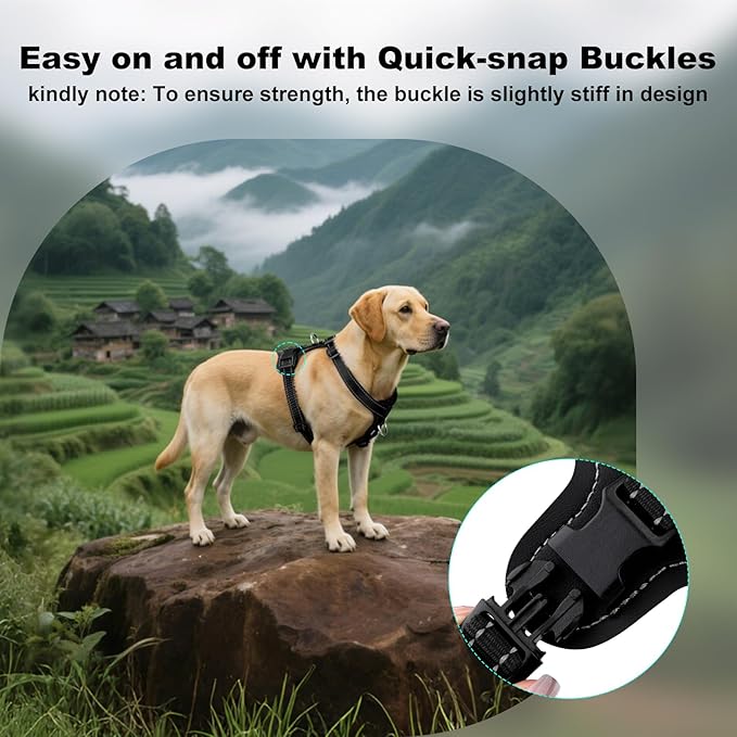 Plutus Pet Adjustable No Pull Dog Harness with Leather Accents, Heavy Duty Reflective Nylon Vest for Training, Hiking, Easy Walk Harness for Small, Medium, Large Dogs (Black, S)