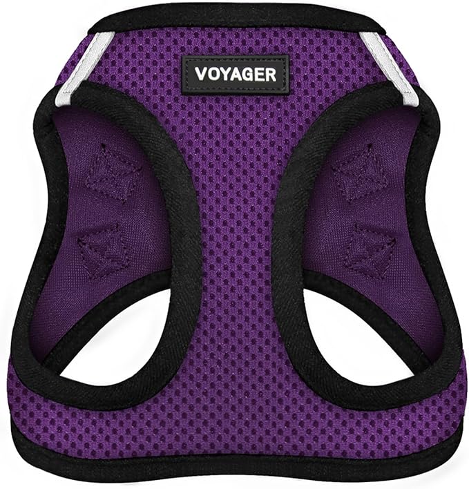 Best Pet Supplies - All Weather Mesh/Plush, Reflective, No Pull Harness for Small, Medium Dogs, Cats - Secure with Hook & Loop Fastener, Buckle, Double D-Rings - Purple/Black Trim, XL