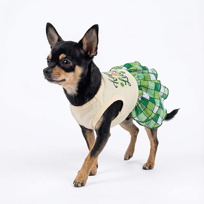 Fitwarm Happy Go Lucky Dog Dress, St Patricks Day Dog Clothes for Small Dogs Girl, Funny Pet Outfit, Green, Light Yellow, XS