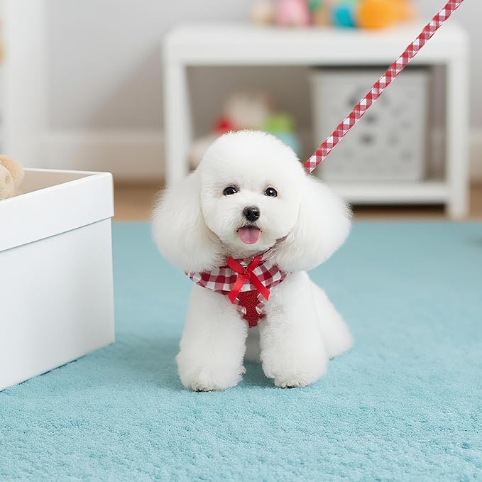 EXPAWLORER Cute Dog Harness and Leash Set - Red Girl Dog Harness Checkered Step-in Design, Easy Adjustable No-Choke Lightweight Breathable Vest for Puppy Small Dogs Cats Outdoor Walking, Small