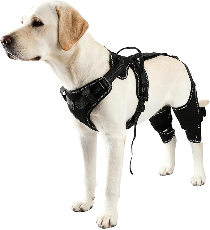 Vivifying Dog Hip & Leg Support Harness for Mobility Assistance, Adjustable Rear Leg Brace with Lift Handle for Injured or Senior Dogs, Joint Stabilizing Hind Leg Support for Walking, Recovery (M)