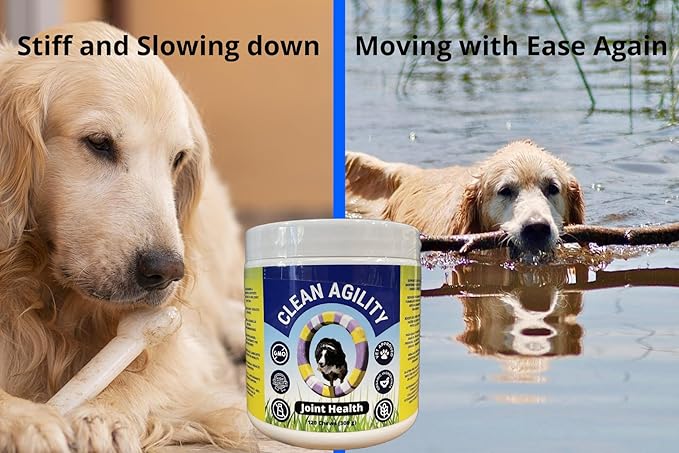 Joint Health for Dogs - Most Effective Hip and Joint Supplement Available - Formulated with Veterinarians, Glucosamine, Chondrointin, MSM, Turmeric (Soft Chew)