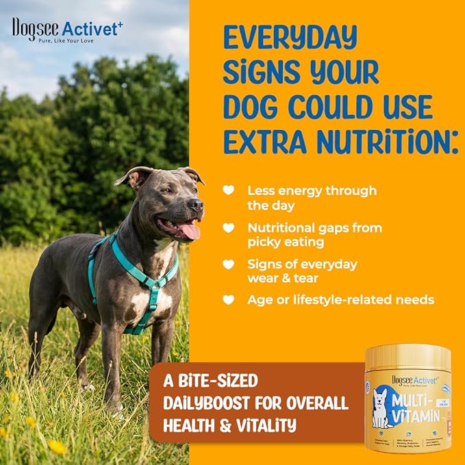 Dogsee Activet+ Dog Multivitamin Supplement Chews, with Vitamins, Minerals, Probiotics, Omega Fatty Acids & Glucosamine, Daily Wellness & Vitality Support, Chicken Flavor – 90 Chews