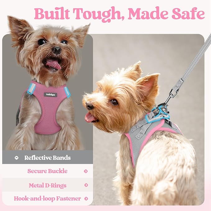 rabbitgoo Dog Harness Small Medium Sized and Leash Set, Step in Soft Light Puppy Vest, Breathable Mesh Pet Harness, Reflective for Safe Easy Walking, Pink & Gray L
