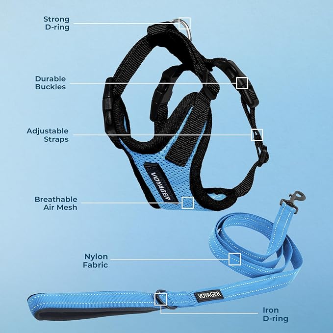 Best Pet Supplies Voyager Step-in Lock Pet Harness w Reflective Pet Leash Combo Set with Neoprene Handle 5ft - Supports Small, Medium and Large Breed Puppies/Cats - Baby Blue/Black Trim Set, L