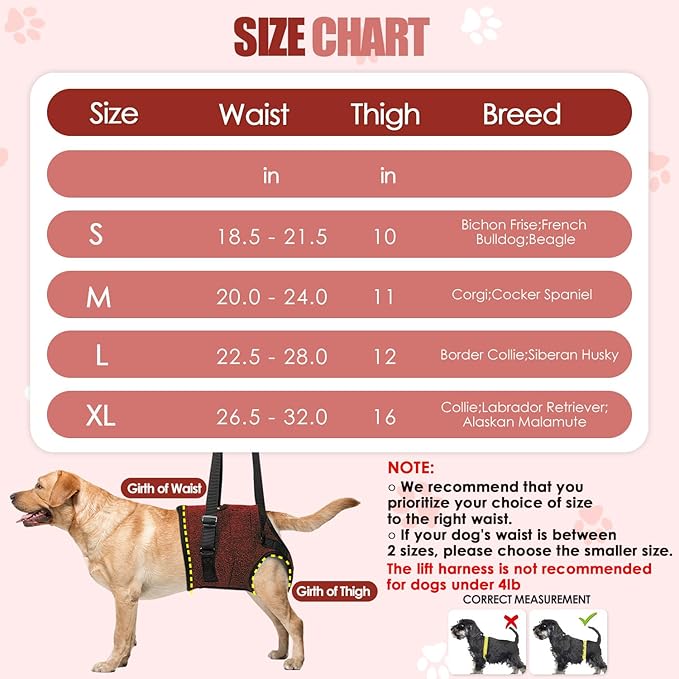SlowTon Dog Lift Harness - Adjustable Dog Sling for Medium Large Dogs, Hind Leg Support to Help Rehabilitate, Soft Padded Dog Support Harness for Elderly, Injured, Arthritic, Disabled Dogs(R,S)