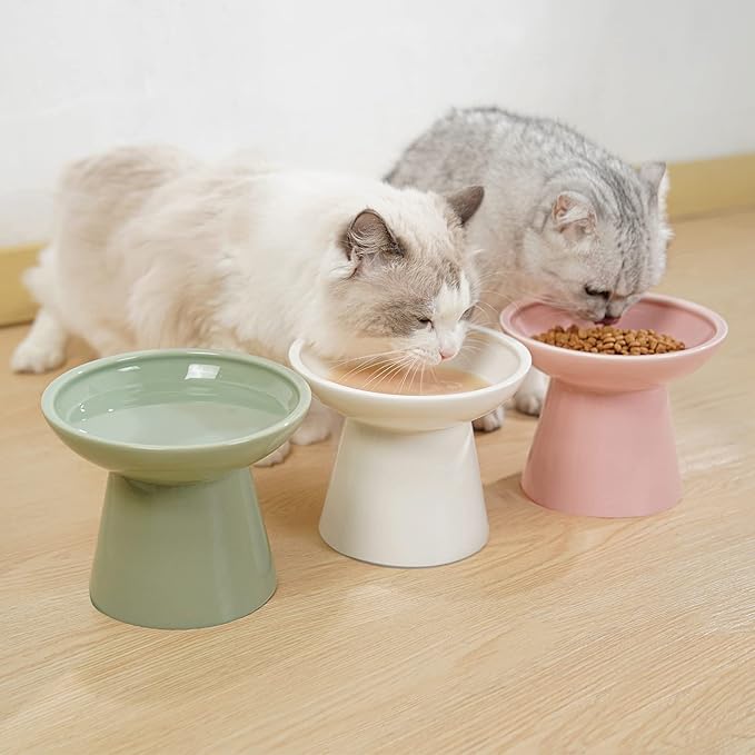 CEEFU Extra Wide Elevated Ceramic Cat Food Bowl - 6.2" Shallow Dish for Whisker Fatigue Relief, 5" Height for Easy Feeding, Lead & Cadmium Free, Durable Raised Cat Food Bowls, Pink