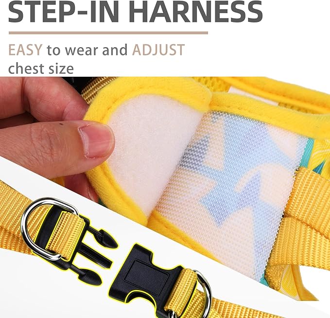 PUPTECK Dog Harness and Leash Set for Small Medium Dogs No Pull Step-in Soft Mesh Puppy Cat Vest Harnesses Reflective at Night, Yellow Lemon, M