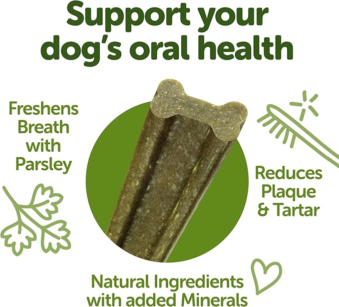 WHIMZEES Wellness Freshzees Dog Dental Treats, Medium Size Stick, (14 Count)