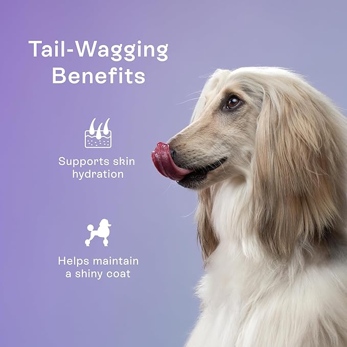 Pawco Dog Treats, Skin & Coat – Supports Skin Barrier & Coat Shine – Crunchy Dog Cookies with Omega-3 & DHA, Peanut Butter & Apple – Functional & Healthy Rewards for Dogs – Magic Cookie – 8.8oz