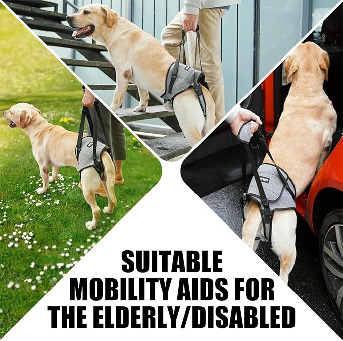 Dog Rear Leg Mobility Aid Lifting Harness Machine Washable Polyester Comfortable Body for Senior Breeds Adjustable Pet Harness