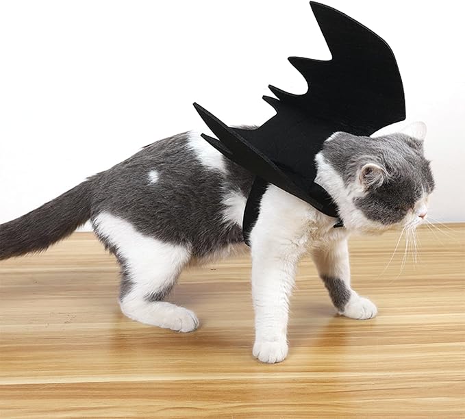 Cat Bat Wings Cat Bat Costume Cats Halloween Costumes Cute Bats Wings for Cats Kitten Halloween Costume Kitten Bats Wing Pet Halloweens Dress Up Accessories,Black S