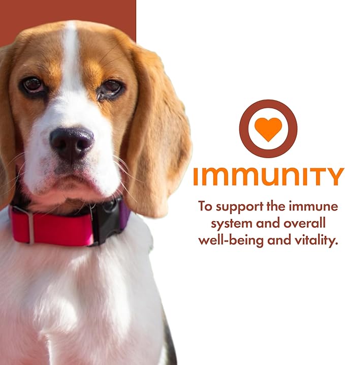 Fromm Family Nutritionals Immunity Functional Dog Treats - Premium Dog Treats for Immune Support - Contains Cranberry, Blueberry, Turmeric, Cinnamon, Vitamin C & Vitamin E - 6 oz Bag
