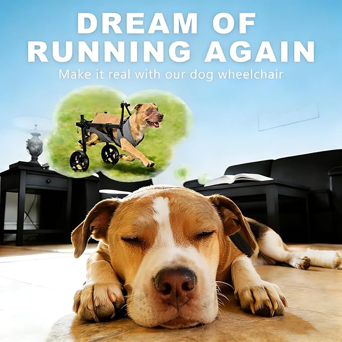 Dog Wheelchair for Back Legs, Adjustable Height/Length/Width, Sturdy Wheelchair with All-Terrain Shock-Absorbing Wheels, Mobility Support for Injured or Disabled Small & Medium Dogs & Cats