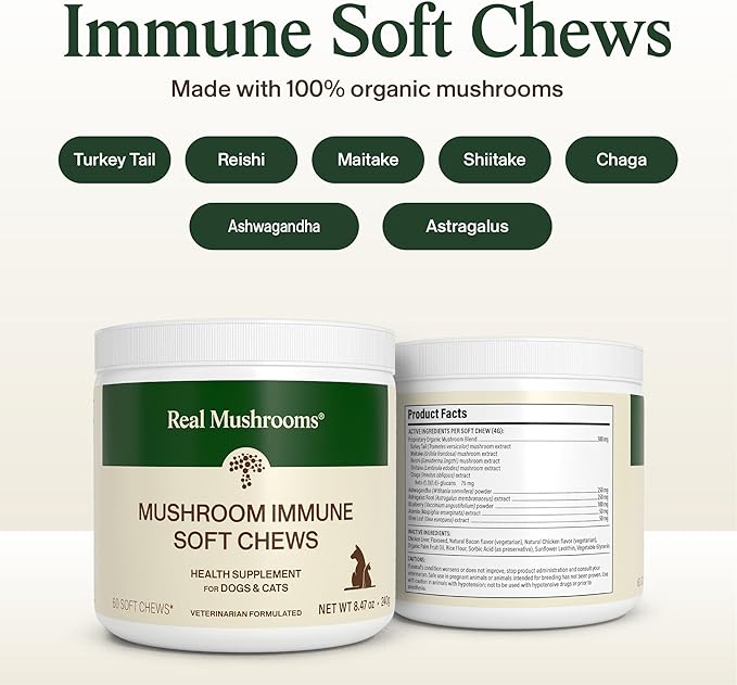 Real Mushroom Immune Pet Chews – For Daily Digestive & Immune Health – Mushrooms for Dogs & Cats Functional Treat – Mushroom Supplement for Dogs & Cats – 1 to 4 Chews For All Breeds & Sizes (60 Count)