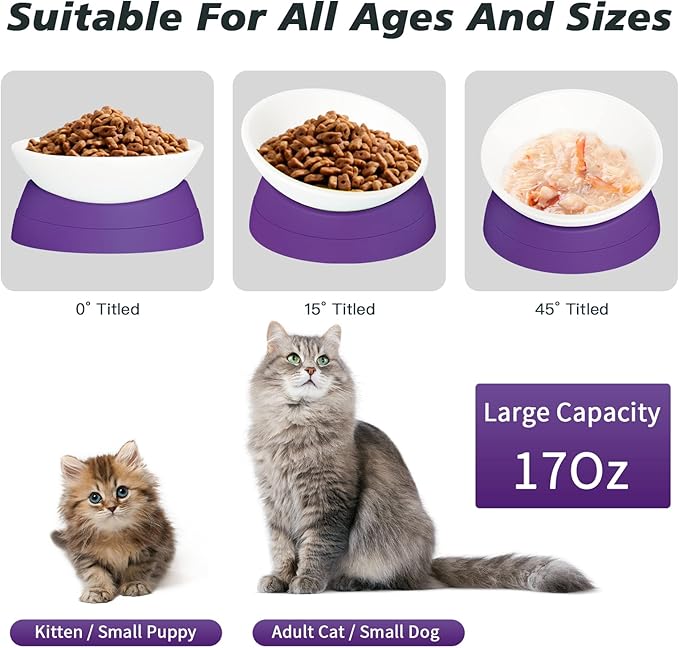 Ravitat Elevated Cat Food Bowl - Adjustable, Anti-Slip & Anti-Noise, Protects Pet's Spine, 17 Oz