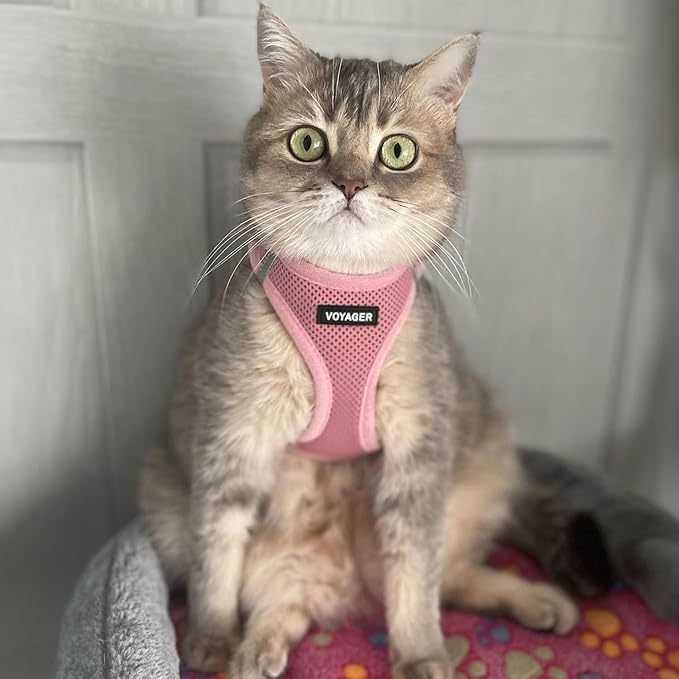 Voyager Step-in Pet Harness - All Weather Mesh, Adjustable Step in Harness for Cats and Dogs by Best Pet Supplies - 307S Pink, M