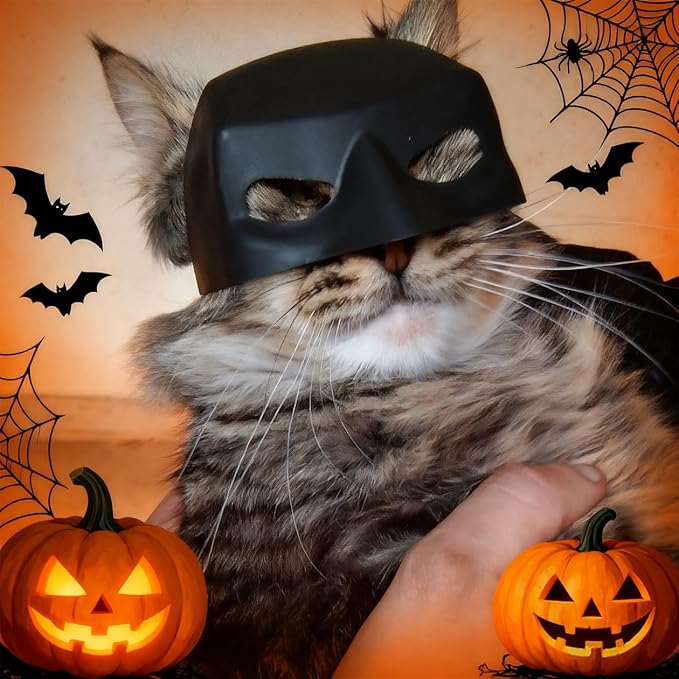Cat Bat Mask, Funny Cat Helmet & Cat Hat Cosplay Costume, Adjustable Pet Mask for Halloween, Party, Photo Props, Lightweight Comfortable Cat Costume Accessories for Cats & Small Pets（Black