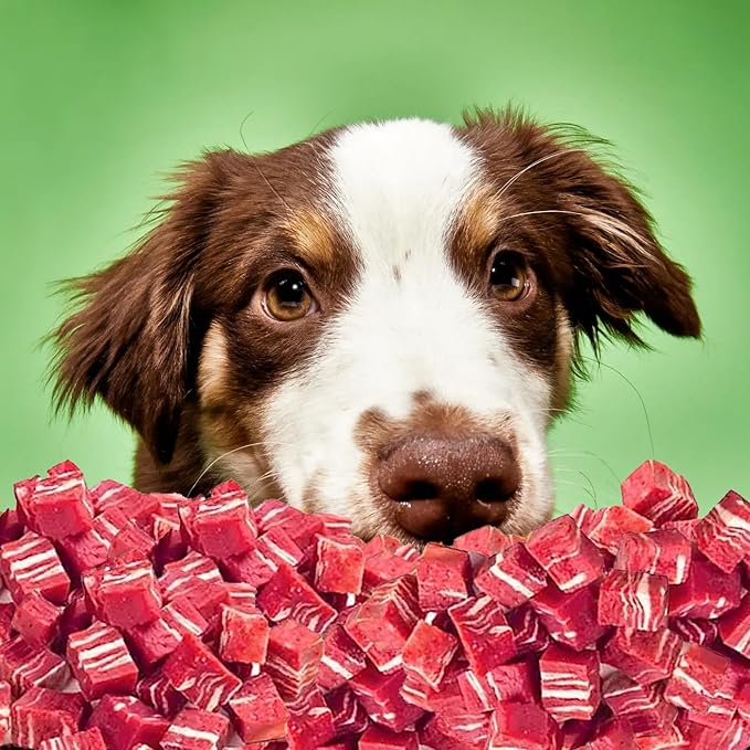 Oven Roasted Single Ingredient Treats for Dogs & Cats | Easy Chew (10.0 oz, Marbled Beef Cubes XXL)