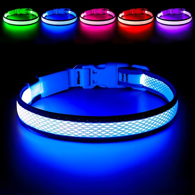 Flashseen LED Dog Collar, Light Up Dog Collar USB Rechargeable, Brightest Dog Lights for Night Walking, Adjustable Dog Collar Light for Dog Safety (Blue, Small)