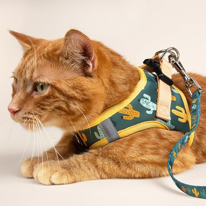 Lucy & Co. Looking Sharp Step-in Cat Harness & Leash Bundle – Reflective, Breathable & Adjustable Harness for Cats, Kittens & Small Dogs, Lightweight & Secure and Dual Leash Clips – Small