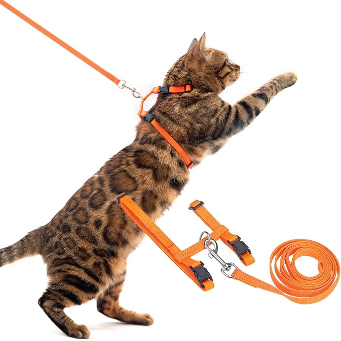 PUPTECK Adjustable Cat Harness and Leash Set Escape Proof Kitten Strap Collar for Walking Travel, Orange, M