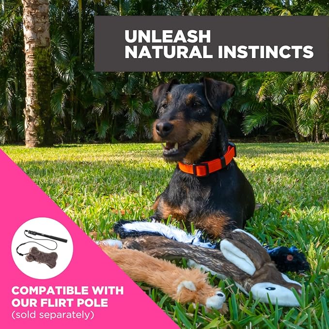 SwiftPaws Critter Pack - For Dogs - Soft Fabric Animal Flags - Stuffing + Noise Free - Durable Construction - Provides Exercise and Stimulation - For Use with SwiftPaws Lure Course or Flirt Pole - 14”