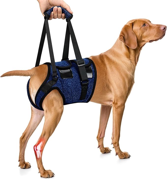 SlowTon Dog Lift Harness - Adjustable Dog Sling for Medium Large Dogs, Hind Leg Support to Help Rehabilitate, Soft Padded Dog Support Harness for Elderly, Injured, Arthritic, Disabled Dogs(BL,M)
