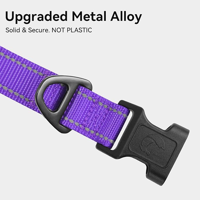 Joytale Reflective Dog Collar, Soft Neoprene Padded, Metal D-Ring, Nylon Pet Collar Adjustable for Medium Dogs, Purple, M
