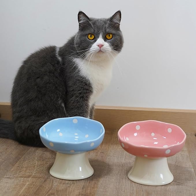 Ceramic Elevated Cat Bowls, Tilted Raised Pet Dish for Indoor Cats, Whisker Friendly Pet Food and Water Bowl for Kitten, Cat, Puppies, Dishwasher Safe (Blue)
