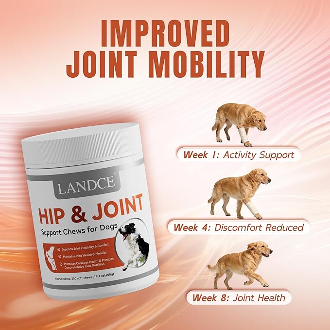 LANDCE Dog Hip and Joint Supplement, 200ct Glucosamine Chondroitin for Dogs with MSM, Green Lipped Mussel & Collagen Advanced Joint Pain Relief & Arthritis Support Senior Dog Joint Chews, All Breeds