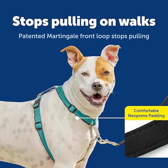 PetSafe 3 in 1 No-Pull Dog Harness for Medium Dogs - Walk, Train or Travel - Helps Pets from Pulling on Walks - Seatbelt Loop Doubles as Quick Access Handle - Reflective - Medium, Teal