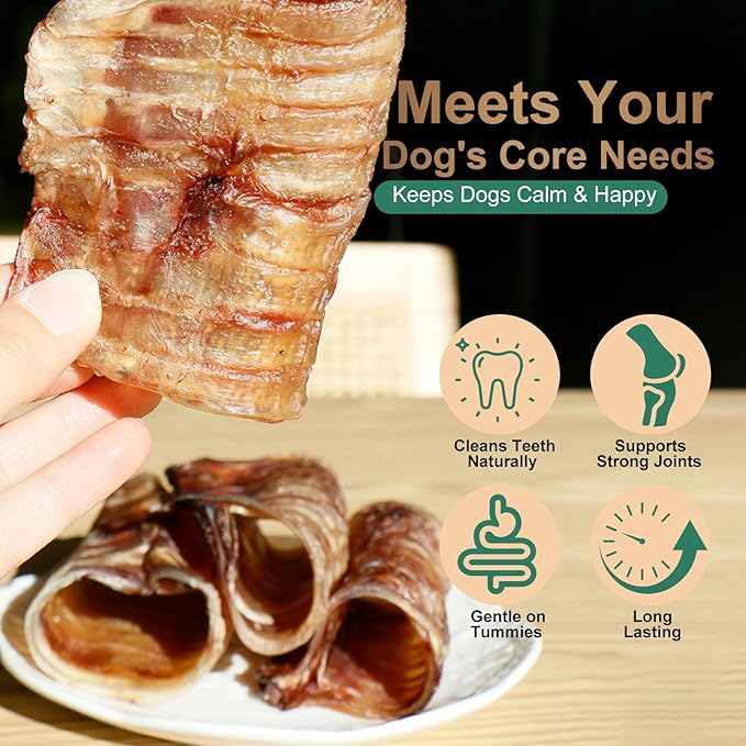 6 Inch Beef Trachea Dog Chews (6pcs - 8oz)-Trachea Dog Treats,Digestible and Safe Chews for Dogs - Natural High Protein for Medium & Large Dogs,Teeth Grinding & Cleaning, Supports Dental Health