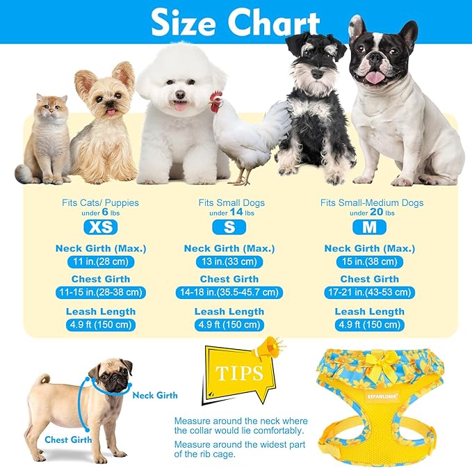EXPAWLORER Cute Dog Harness Collar Leash Set - Blue Girl Dog Harness Checkered Step-in Design, Adjustable No-Choke Lightweight Mesh Vest for Cats Puppy Small Dogs, Daffodil M