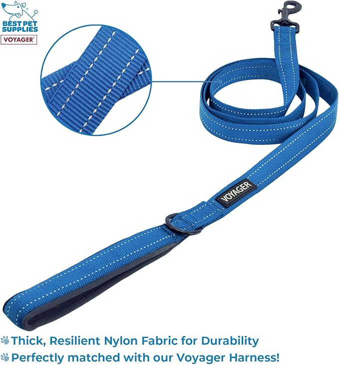 Best Pet Supplies Voyager Step-in Lock Pet Harness w Reflective Pet Leash Combo Set with Neoprene Handle 5ft - Supports Small, Medium and Large Breed Puppies/Cats - Royal Blue, XXS