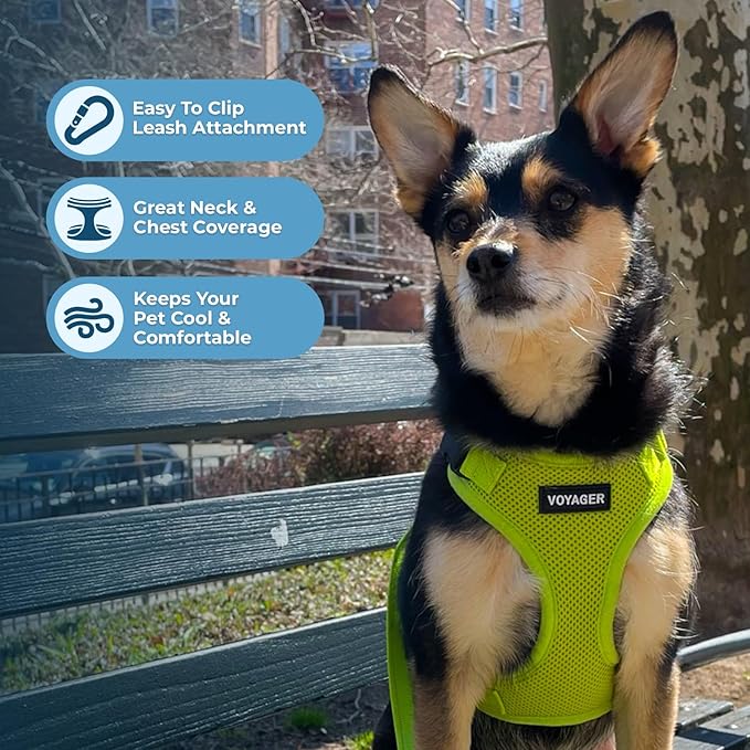Voyager Step-in Pet Harness - All Weather Mesh, Adjustable Step in Harness for Cats and Dogs by Best Pet Supplies - Lime Green, XS