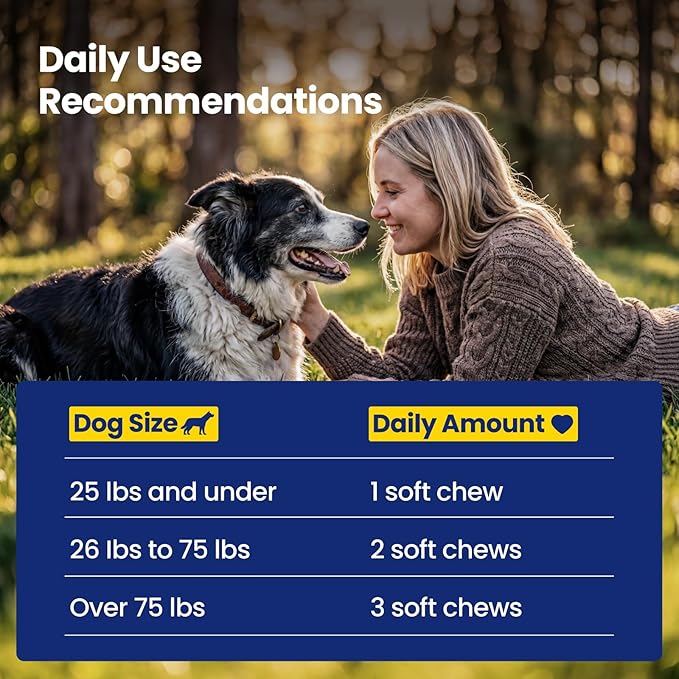 NAD+ Precursor & Senior Dog Supplement - 90 Soft Chews - NMN Alternative for Longevity & Healthy Aging - Nicotinamide Riboside, Resveratrol, Quercetin - Filet Mignon Steak Flavor