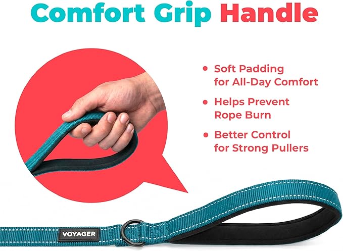Best Pet Supplies Voyager Reflective Dog Leash or Collar with Neoprene Handle, for Small, Medium, and Large Breed Puppies, Cute and Heavy Duty for Walking, Running and Training - Turquoise (Leash), M